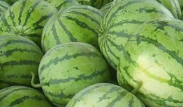 网红好看的视频吃瓜,一场视觉与味蕾的双重盛宴